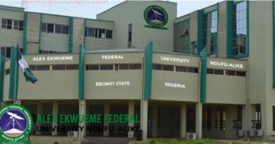 AE-FUNAI VC Clocks 100 Days: New Programmes, Scholarships, Solar Lights, and a University Being Rebuilt
