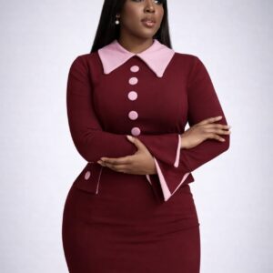 Elegant women's office/Corporate dress